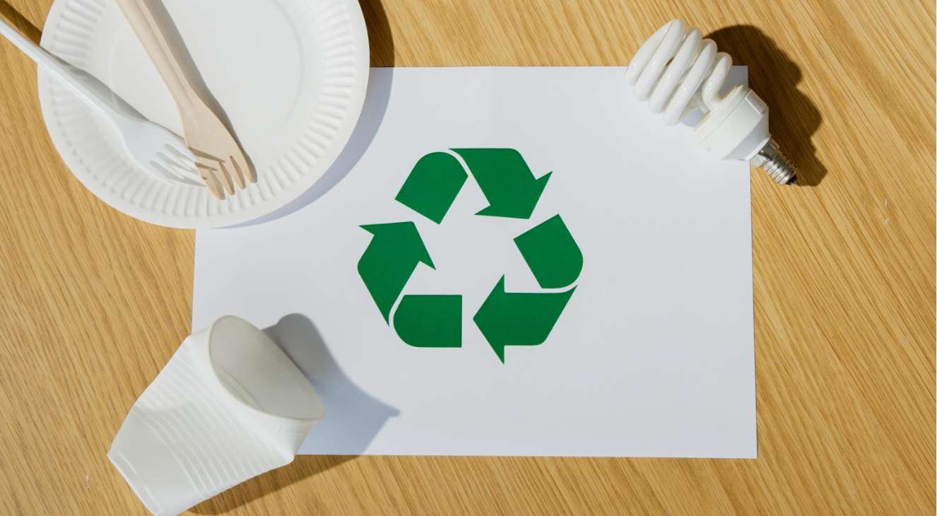 Sugarcane: The Foundation of Our Sustainable Products